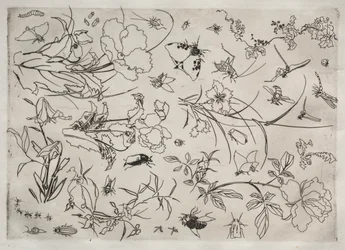 Dinerservies Rousseau servies: Bloemen en Insecten nr. 15, 1866