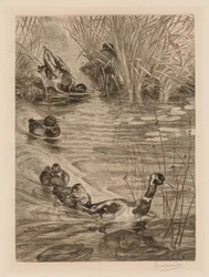 Eenden aan het spelen, ca. 1870