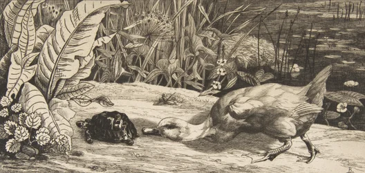 De onbekende, 1862
