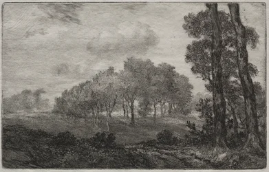 Landschap, naar Français