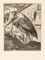 De Ooievaars