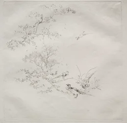 Parijse dienst (Haviland dienst): Mist (nr. 1)
