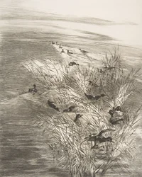 Riet en eenden, 1882