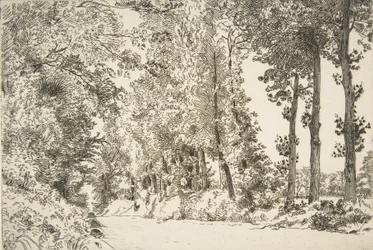 Rue des Bruyères, à Sèvres