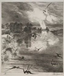 Zwaluwen, 1882