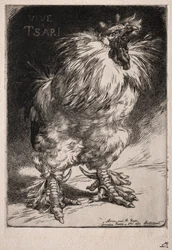De Franse haan, 1893.