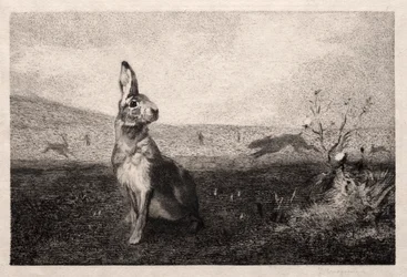 De haas na A. de Balleroy, 1865