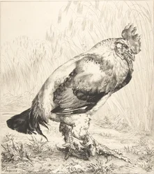 De oude haan, 1882.