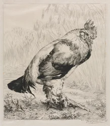 De oude haan, 1882.