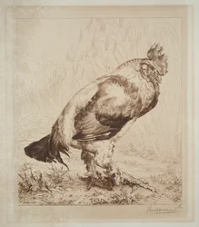 De oude haan, 1882.