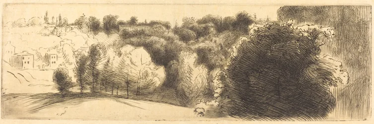 De weg naar Bellevue