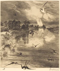 De zwaluwen
