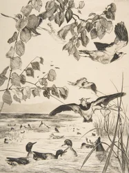 Kieviten en wintertalingen, 1862