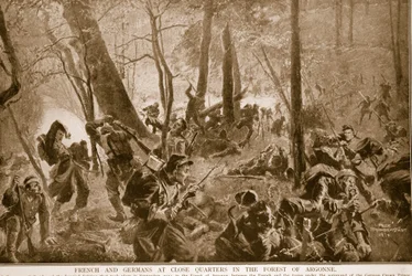 Fransen en Duitsers op korte afstand in het bos van Argonne, 1914-19