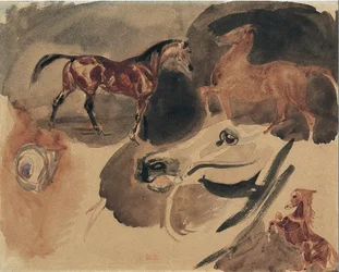 Studie van paarden