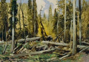Böhmerwald (uit de map 