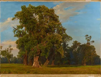 Grote Praterlandschap