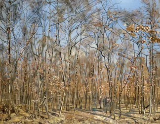 Beukenbos, 1885-1894