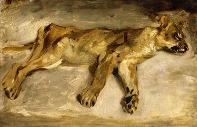 Een Slapende Leeuwin, c.1830