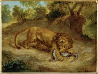 Leeuw en kaaiman ...