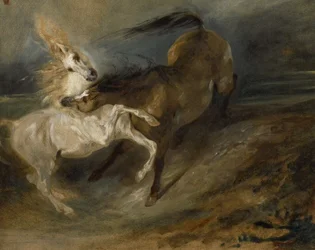 Twee vechtende paarden in een stormachtig landschap
