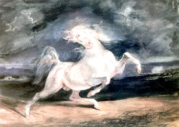 Wit paard, 19e eeuw