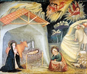 Geboorte van Jezus in Bethlehem detail
