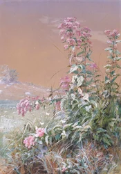Zonder titel