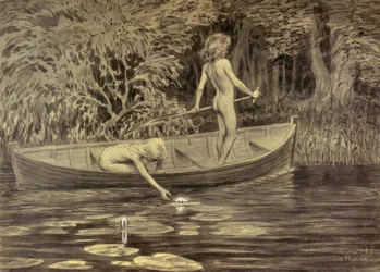 Waterlelies