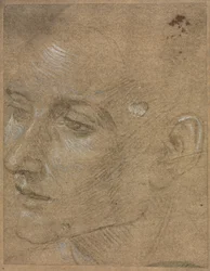 Hoofd van een jonge man, tweede helft 1400s