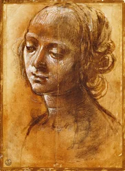 Vrouwelijke figuur, door Filippino Lippi (tekening)