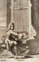 Man die het orgel speelt