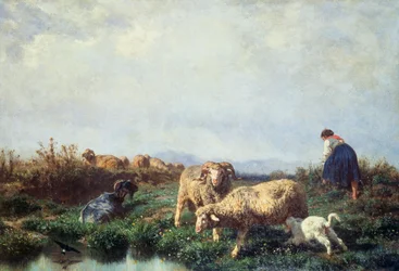 Kuddes