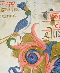 Missaal 515 f.28v Fantastische vogel met menselijk hoofd staand op de hoek van een versierde initiaal, detail uit een Koorboek uitgevoerd voor 1449