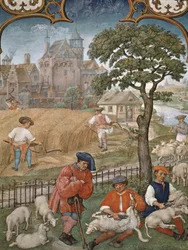 Fol.7v De maand juli: Oogst en schapenscheren, uit het Breviarium Grimani, c.1515