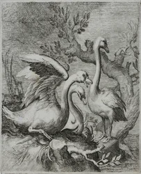 Oude Meester Gravure