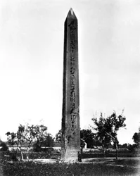 Obelisk van Heliopolis, Egypte, 1878