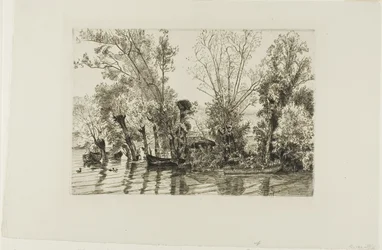 De wilgen van Mottiaux