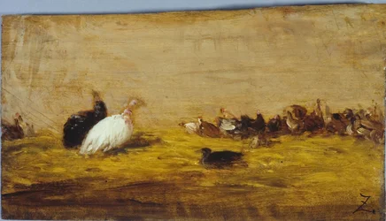 Kalkoenen, tussen 1850 en 1855