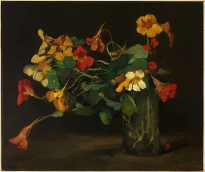 Bloemenstilleven met Oost-Indische kers