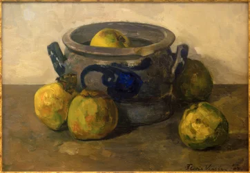 Steengoed pot met appels