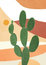 Samenvatting Cactus II