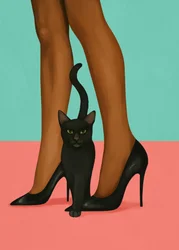 Zwarte kat met hoge hakken