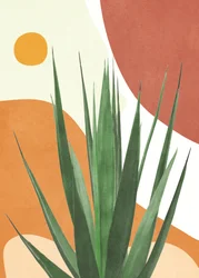 Moderne woestijnagave