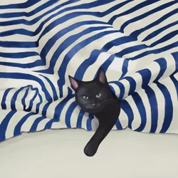 Zwarte kat die gluurt