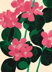 Levendige roze bloemen