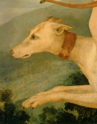 Diane chasseresse - Diana jacht ...