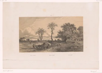 Boerenkar met ossen in een Hongaars landschap