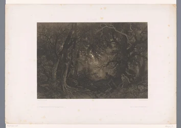 Rovers wachten in hinderlaag op een koets in het bos