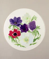Anemonen